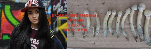 крисы Горняк