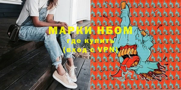 крисы Горняк