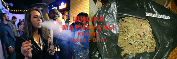 крисы Горняк