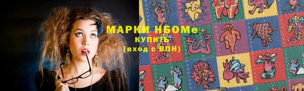 крисы Горняк